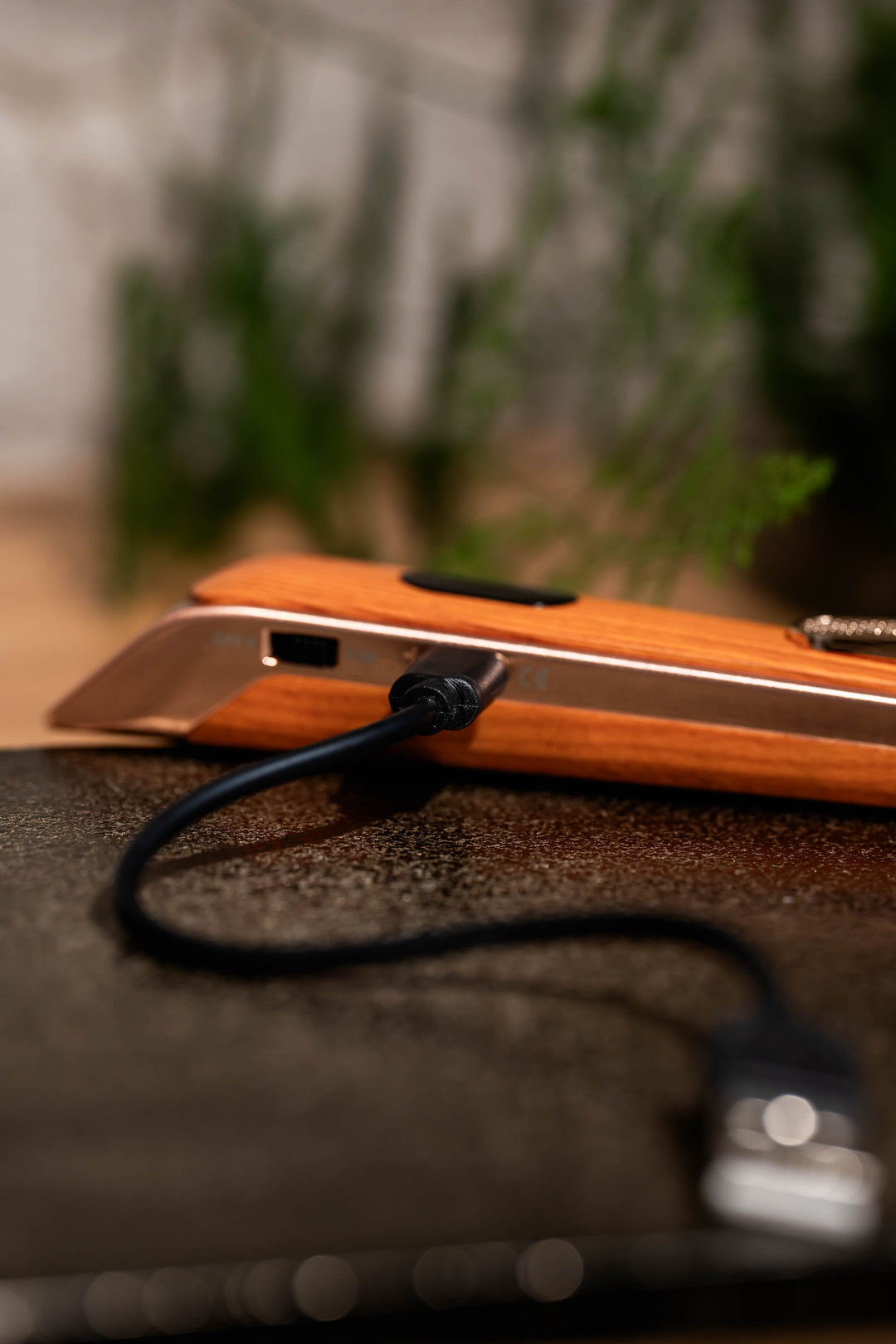 Sizzle LUX USB rechargeable lighter with Oak finish with USB charge cord. Plants in background